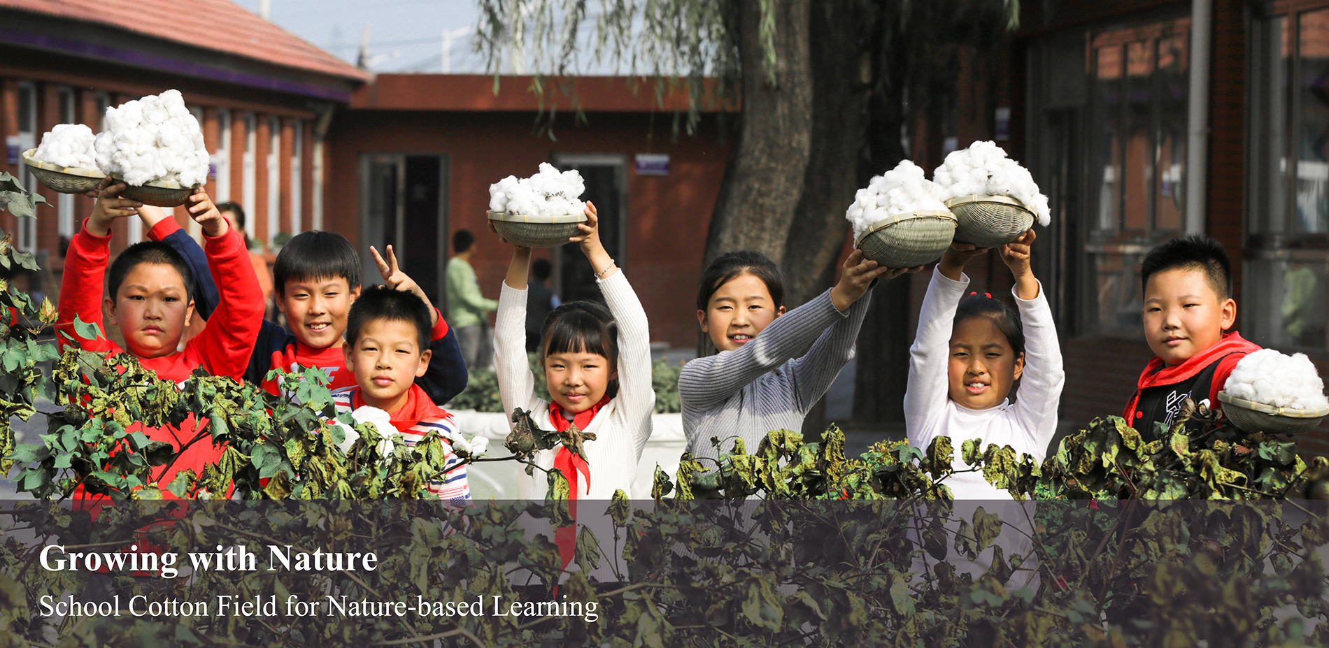 School Cotton Field for Nature-based Learning